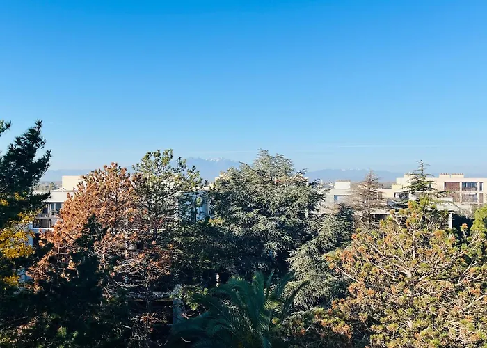 Διαμέρισμα T3 A 300m Des Plages Avec Parking Et Terrasse - Fr-1-309-414 Saint-Cyprien (Pyrenees-Orientales)